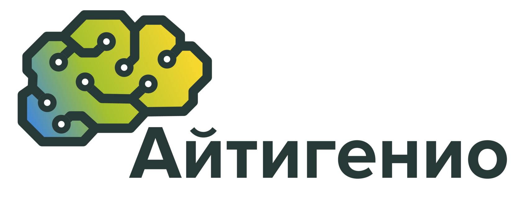 АЙТИГЕНИО logo